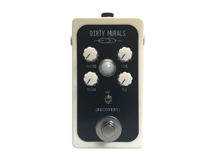Recovery Dirty Murals V3 Reverb / Delay - Pedal