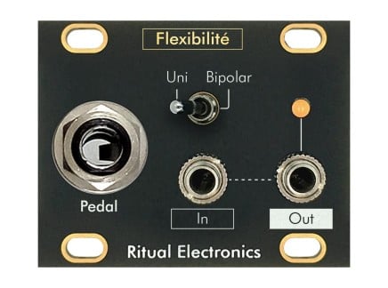 Ritual Electronics Flexibilité - Pulp Logic