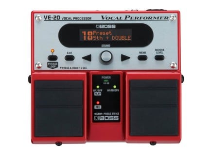 VE-20 Vocal Performer